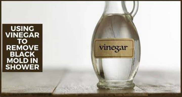 Does vinegar get rid of mold in shower?