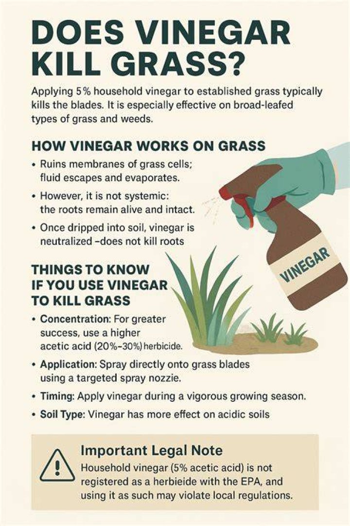 Does vinegar hurt grass?