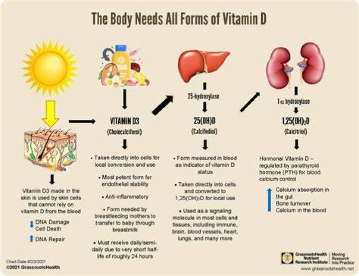 Does vitamin D affect lungs?