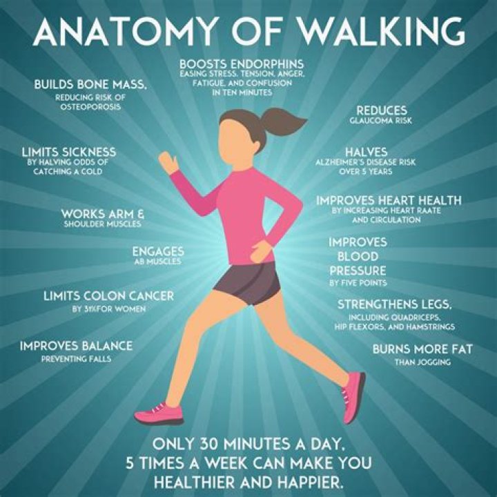 Does walking make you skinny?