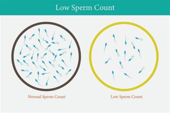 Does wearing gold lower sperm count?