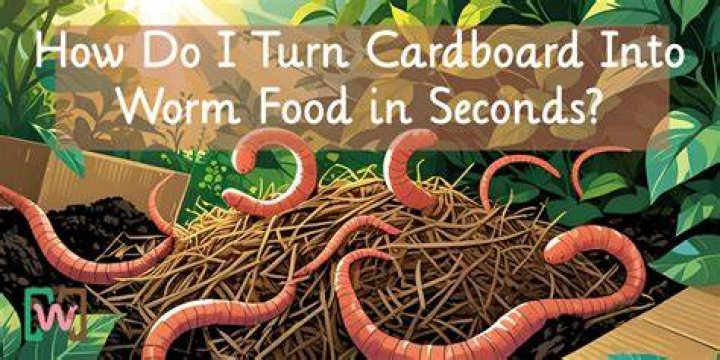 Does wet cardboard attract worms?