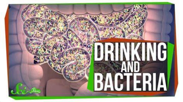 Does whiskey help gut bacteria?