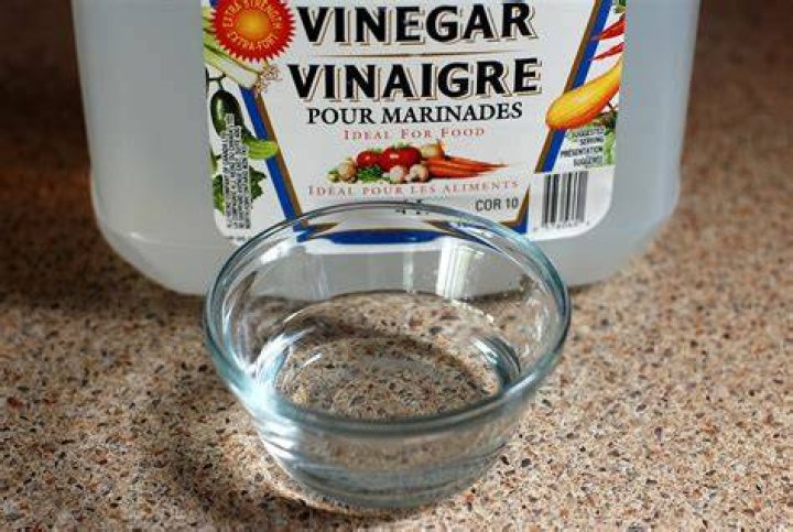 Does white vinegar keep cats away?