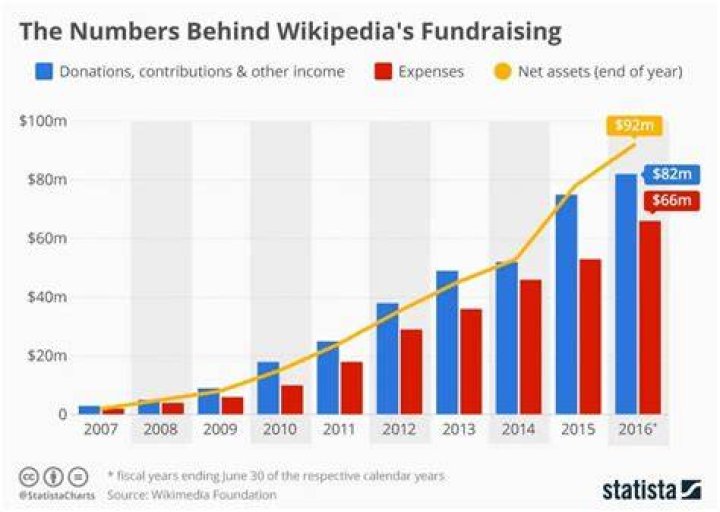 Does Wikipedia make a profit?