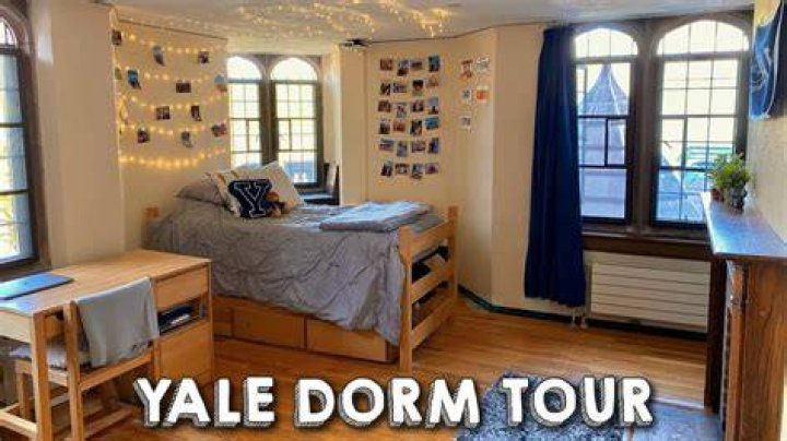Does Yale allow pets in dorms?
