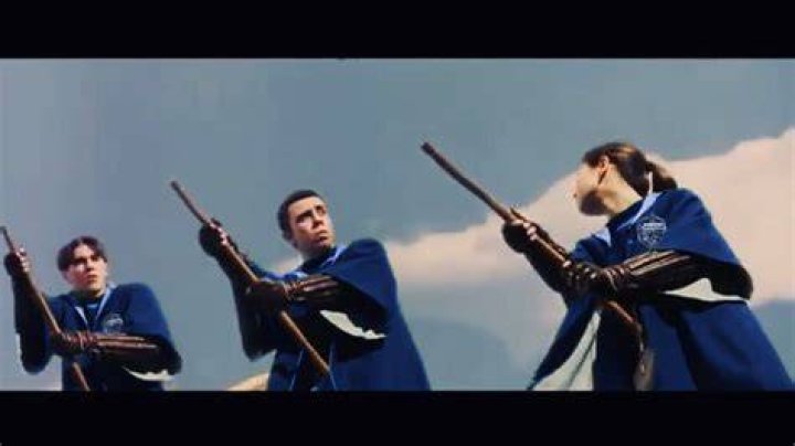 Has Ravenclaw ever won a Quidditch match?