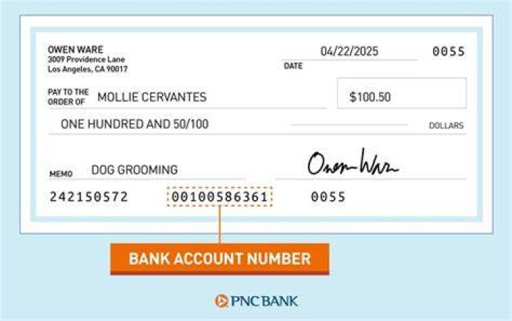 How are bank account numbers written?