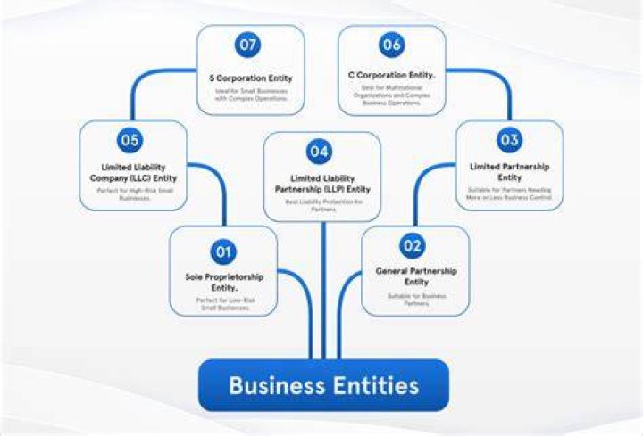 How are business entities set up?
