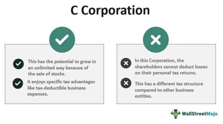 How are C Corp dividends reported?