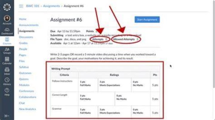 How are online assignments conducted?
