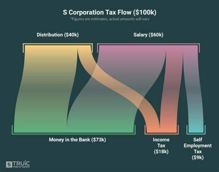 How are profits distributed in an S corporation?