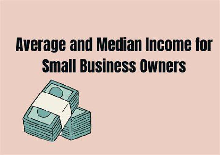 How are small business owners taxed on income?