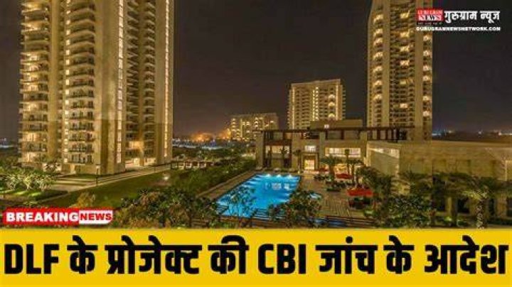 How big is DLF?