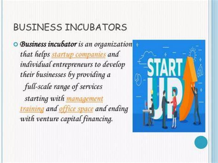 How business incubators help entrepreneurs?