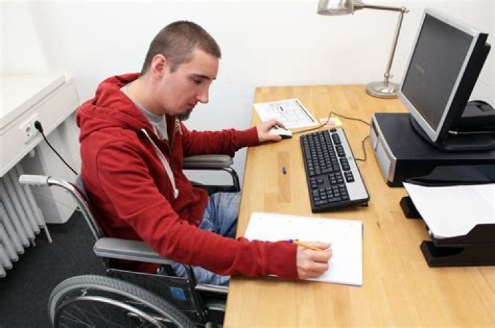How can a disabled person make money?