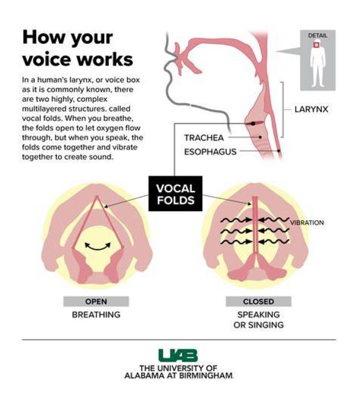 How can I change my speaking voice?