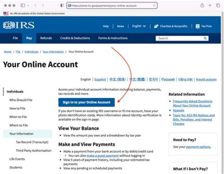How can I Check my Balance with the IRS?