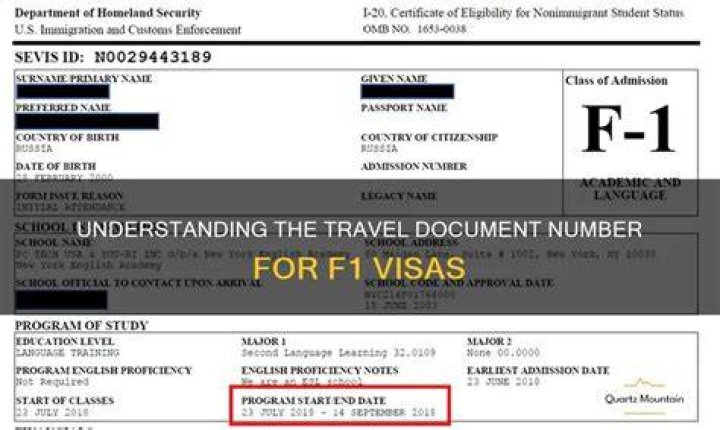How can I check my F-1 visa status?