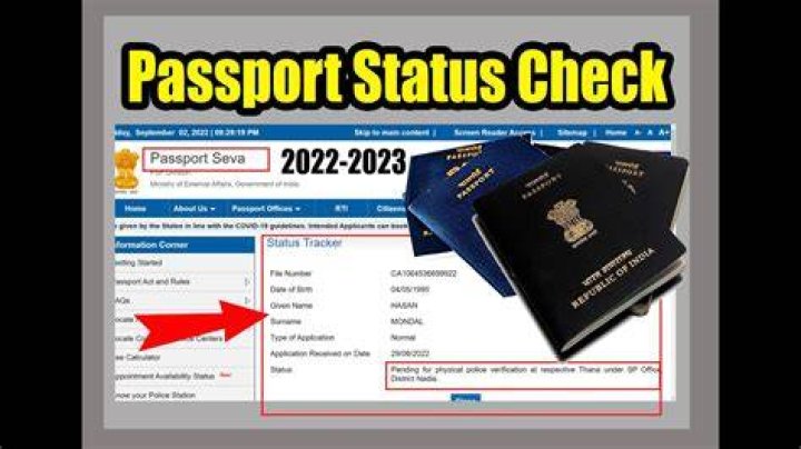 How can I check my passport status by SMS?