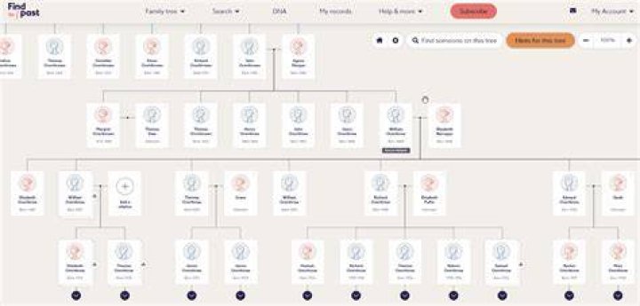 How can I find my family tree online?