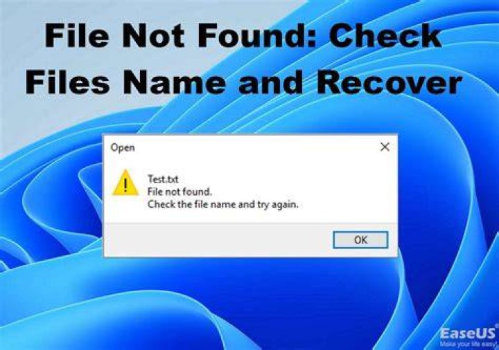 How can I fix a file download error?