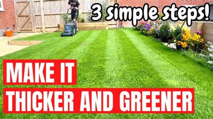 How can I get my grass to grow thicker?