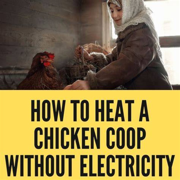 How can I heat my chicken coop without electricity?