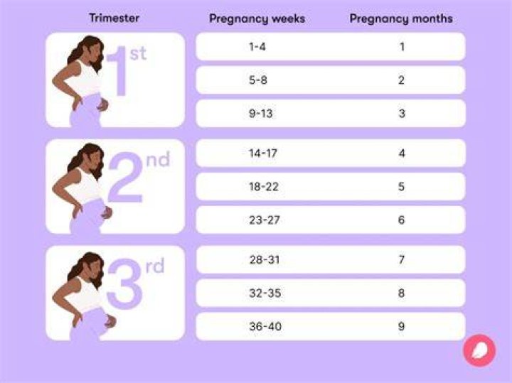 How can I know how many months my pregnancy is?