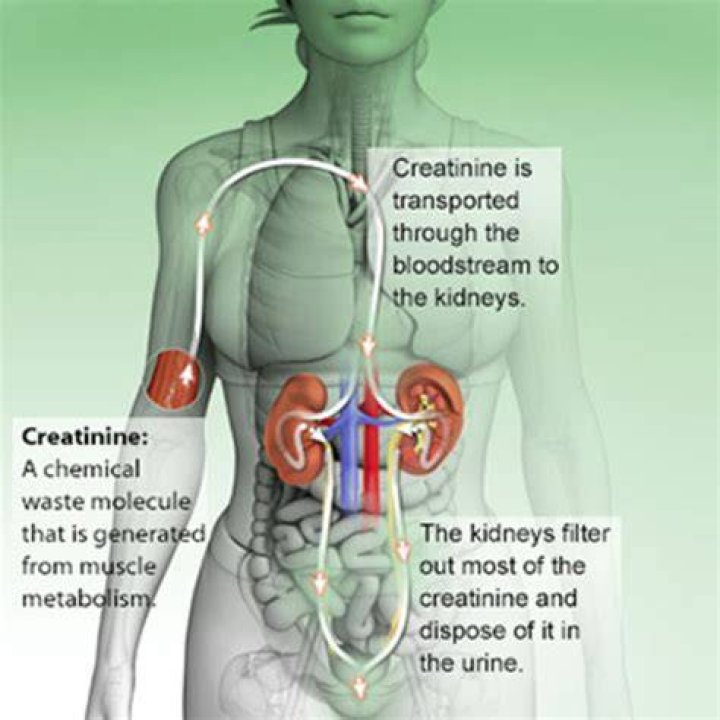 How can I lower my creatinine levels in my kidneys?