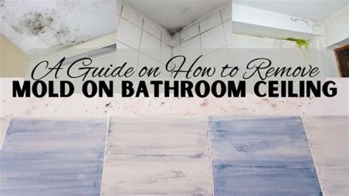 How can I make my bathroom mold free?