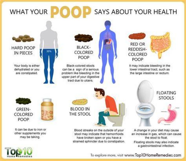 How can I make myself poop on vacation?