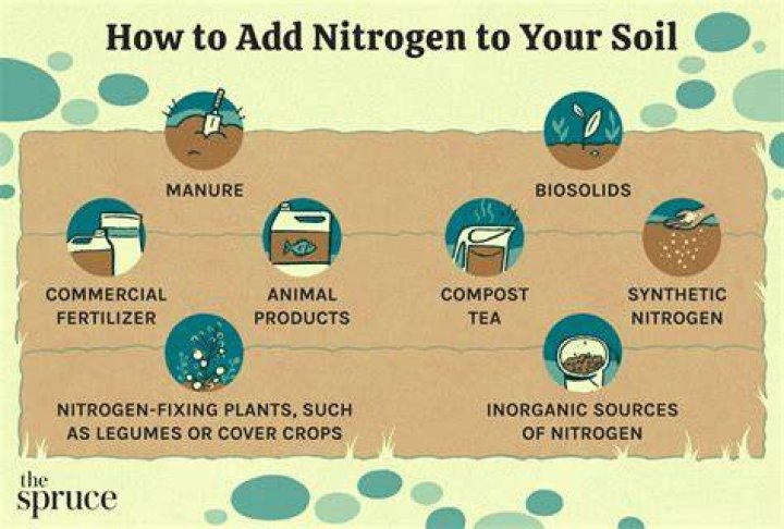 How can I make nitrogen naturally?