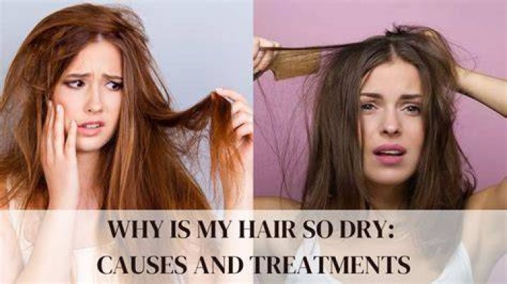 How can I reduce my dry hair?
