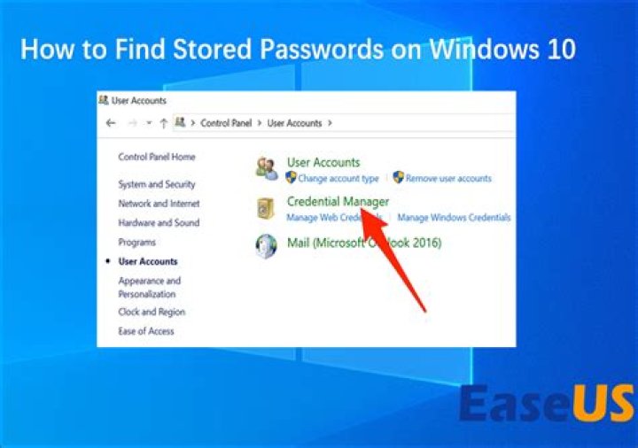 How can I see my password?