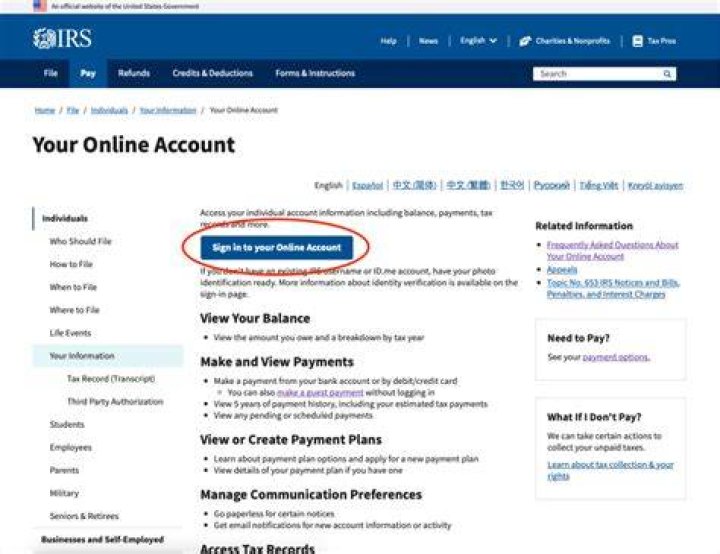 How can I view my online tax account?