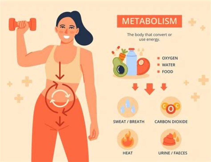 How can we increase our body's magnetism?