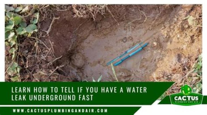 How can you tell if there is water underground?