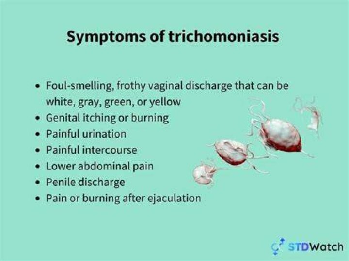 How did I get trichomoniasis if no one cheats?
