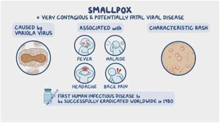 How did they cure smallpox?