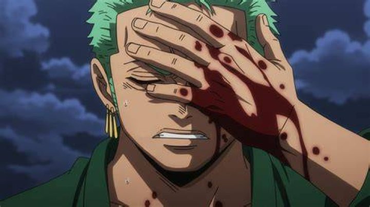 How did Zoro loose his eye?