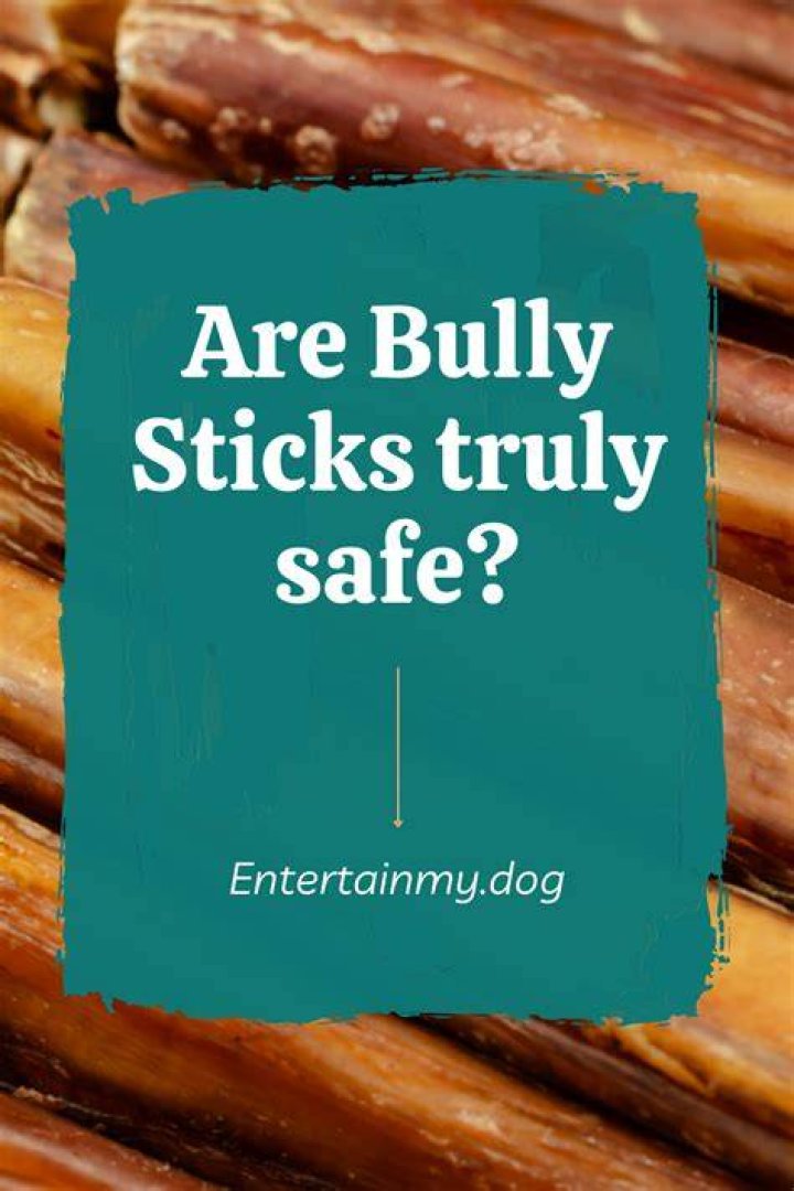 How do bully sticks work?