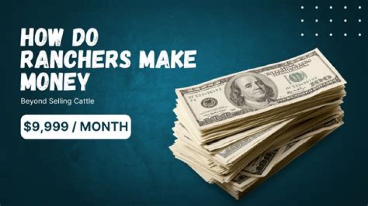 How do cattle ranchers make money?