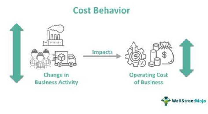How do cost drivers affect cost behavior?