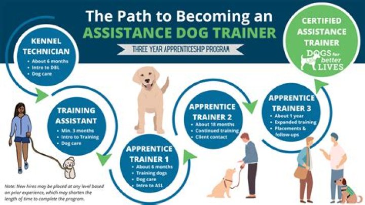How do I become a dog trainer NZ?