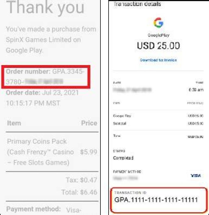 How do I check my Google transaction status?