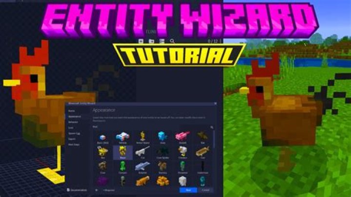 How do I choose my entity?