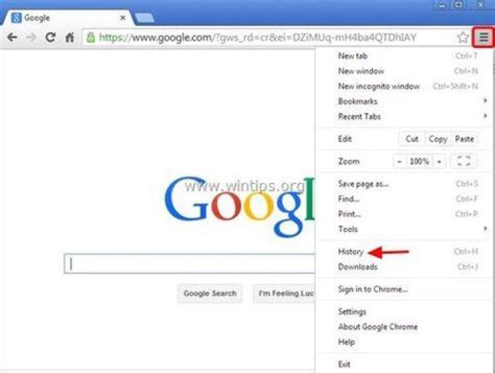 How do I delete url history on Google Chrome?