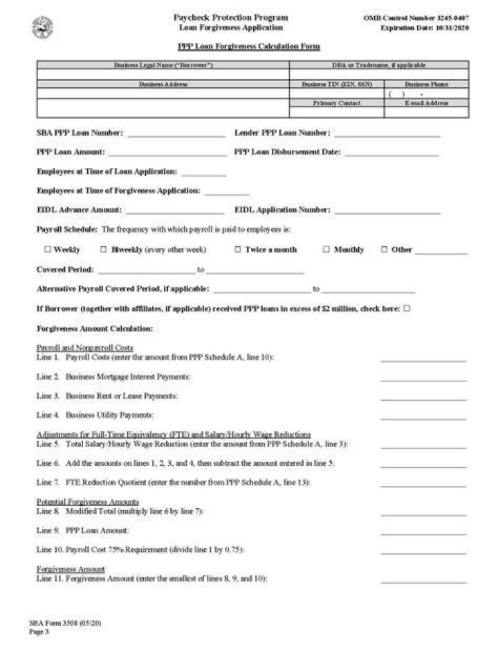How do I fill out a PPP independent contractor?
