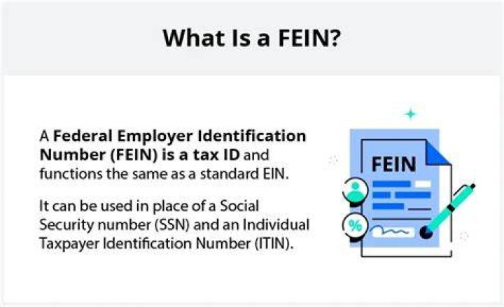 How do I find Fein number for a company?